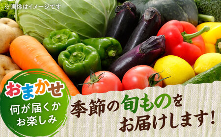 【全12回定期便】旬な野菜おまかせ詰め合わせセット 野菜 [AYCA002]