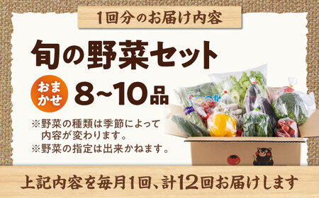 【全12回定期便】旬な野菜おまかせ詰め合わせセット 野菜 [AYCA002]