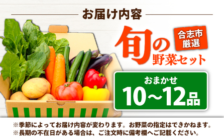 【年内発送は12月14日ご入金分まで！】旬のお野菜10~12品 野菜[AYAB008]