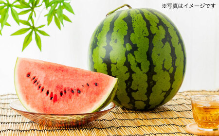 【2026年発送分 先行予約】【数量限定】「羅王・ザ・スイート」大玉 スイカ　1玉（約7～9kg） すいか　[AYCX001]