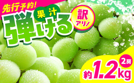 シャインマスカット様　新品　ピューリフィケーション 2本　シーブス　各15ml シャインマスカット様 新品 ピューリフィケーション 2本 シーブス 各