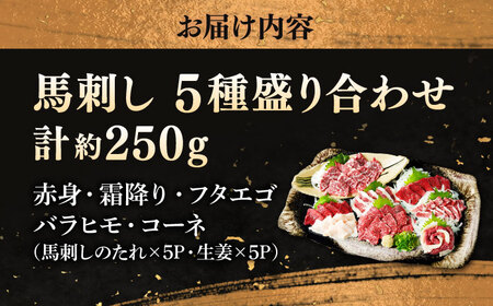 5種の馬刺し 5人前 約250g 熊本直送 馬刺し[AYAT011]