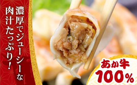 【年内発送】あか牛ぎょうざセット 60個  ぎょうざ[AYCQ003]