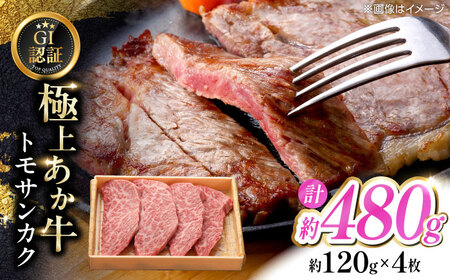 【GI認証】くまもとあか牛トモサンカク 約120g×4枚 和牛 熊本県 トモサンカク [AYCQ013]