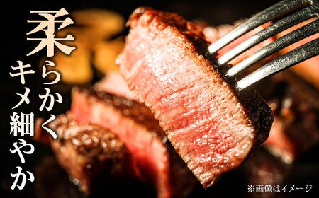 【GI認証】くまもとあか牛シンシンブロック 約300g×2枚 ステーキ [AYCQ021]