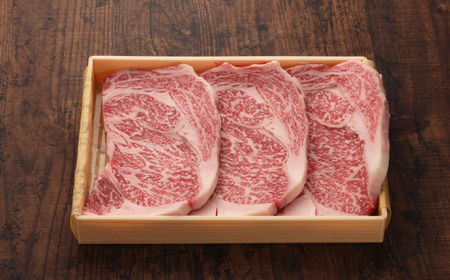 【全3回定期便】【GI認証】くまもとあか牛 食べ比べ B カイノミ リブロース 赤身モモブロック [AYCQ027]