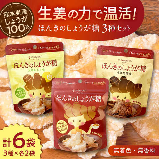 ほんきのしょうが糖 3種類 味違い セット 計6袋 / しょうが糖 沖縄黒糖味 天草レモン味 各2袋 チャック付き和菓子[AYAD012]