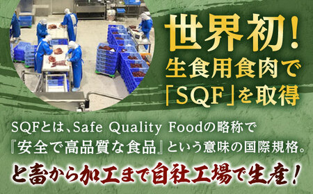 馬肉 ハンバーグ 約130g×16個 計約2.08kg 小分け セット ハンバーグ[AYAF029]