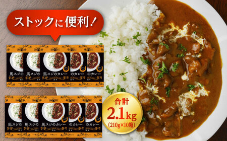 馬スジのカレー 10食 210g×10 計2.1kg カレー[AYAF027]