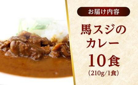 馬スジのカレー 10食 210g×10 計2.1kg カレー[AYAF027]