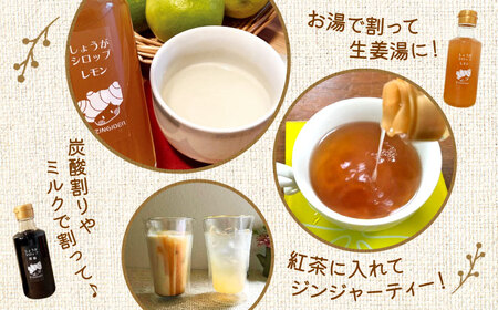 しょうが＆レモン ジャム　生姜 シロップ 2種 レモン・黒糖 セットジャム シロップ[AYAD010]