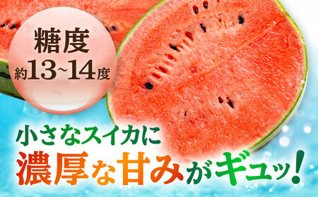 【2026年発送分 先行予約】【数量限定】小玉 すいか 2玉 ひとりじめ 計4kg  スイカ[AYAC046]