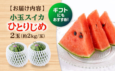 【2026年発送分 先行予約】【数量限定】小玉 すいか 2玉 ひとりじめ 計4kg  スイカ[AYAC046]