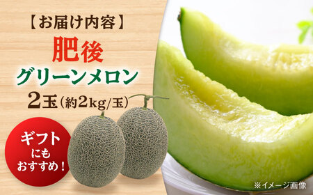 【2026年発送分 先行予約】【数量限定】肥後グリーンメロン 2玉 計4kg メロン[AYAC045]