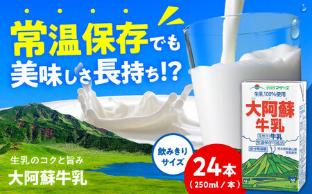大阿蘇牛乳 ロングライフ 250ml 24本（12本入り×2ケース） 6L 牛乳[AYAC047]