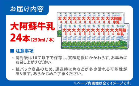 大阿蘇牛乳 ロングライフ 250ml 24本（12本入り×2ケース） 6L 牛乳[AYAC047]