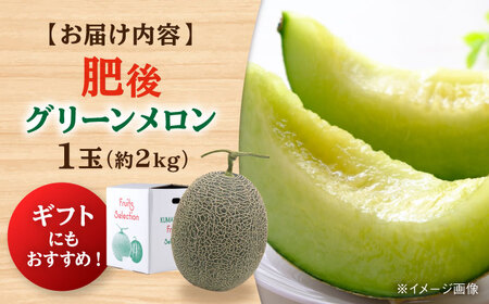 【2026年発送分 先行予約】【数量限定】肥後グリーンメロン 1玉 計約2kg メロン[AYAC053]