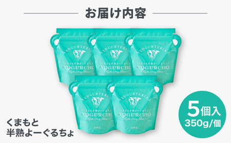 【ふるなびWEEK対象】くまもと半熟よーぐるちょ 350g×5個 オオヤブデイリーファーム ヨーグルト 濃厚ヨーグルト AYAE004FN-Limited-PR