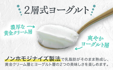 【全6回定期便】オオヤブデイリーファーム くまもと半熟よーぐるちょ 350g×5個ヨーグルト[AYAE006]