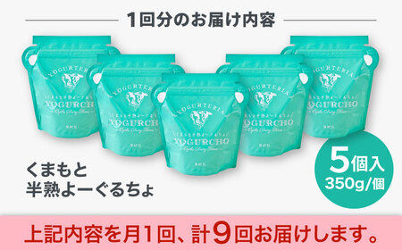【全9回定期便】オオヤブデイリーファーム くまもと半熟よーぐるちょ 350g×5個ヨーグルト[AYAE021]