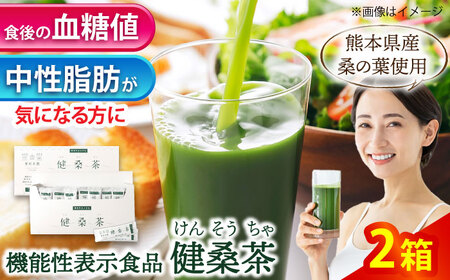 機能性表示食品 健桑茶 2箱 お茶[AYBM002]