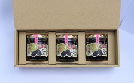 発酵桑の実 ジャム 3個セット（100g×3）ジャム[AYBM012]