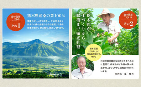 桑の葉茶 ティーバッグ3g×30P 2袋 お茶[AYBM021]