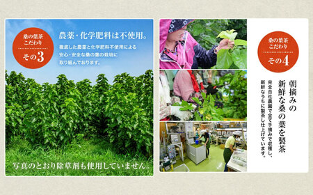 桑の葉茶 ティーバッグ3g×30P 2袋 お茶[AYBM021]