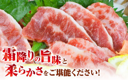 【全6回定期便】霜降り馬刺し 約300ｇ（ブロック） 馬刺し [AYBX085]