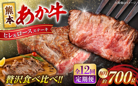 【全12回定期便】熊本あか牛 ヒレステーキ約300g ロースステーキ約400g（計約8.4kg）牛肉[AYCB015]