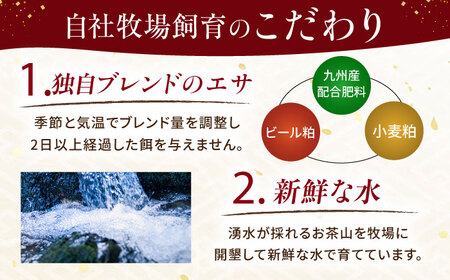 『純国産』熊本の味 馬 珍味 セット 計約400g（約200g×2セット）レバー ハツ 刺身レバー[AYCN021]