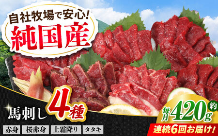 【全6回定期便】『純国産』熊本の味 馬刺し 満喫 4種 セット 計約420g 赤身 上霜降り 桜 タタキ   馬刺し [AYCN031]