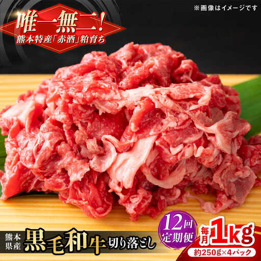 【全12回定期便】熊本県産 『原田畜産』 黒毛和牛 切り落とし 計約1kg（約250g×4パック） 牛肉切り落とし [AYCN047]