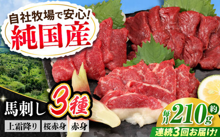【全3回定期便】『純国産』熊本の味 馬刺し お試し 3種 セット 計約210g（2?3人前）上霜降り 霜降り 赤身 赤身馬刺し [AYCN068]