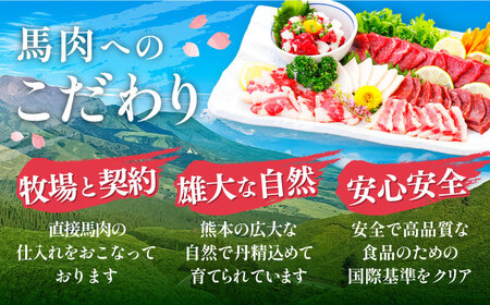 桜屋 馬刺し 6種 計約420g 赤身 タテガミ ハツ サガリ フタエゴ ユッケ[AYCP027]