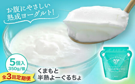 【全3回定期便】オオヤブデイリーファーム くまもと半熟よーぐるちょ 350g×5個ヨーグルト[AYAE005]