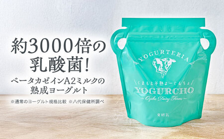【全3回定期便】オオヤブデイリーファーム くまもと半熟よーぐるちょ 350g×5個ヨーグルト[AYAE005]
