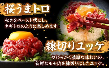 馬刺し バラエティスライス 約1.03kg 5種類 タレ付き  馬刺し[AYAF010]