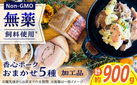 『香心ポーク』 加工品 詰め合わせ おまかせ 5品 セット 約900g A3B2 豚肉 冷凍 熊本県産 [AYCK020]