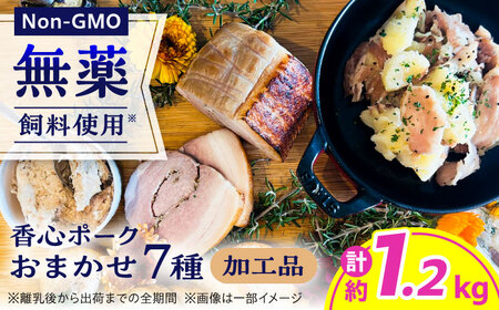 『香心ポーク』 加工品 詰め合わせ おまかせ 7品 セット 約1.2kg A5B2 豚肉 冷凍 熊本県産 [AYCK022]