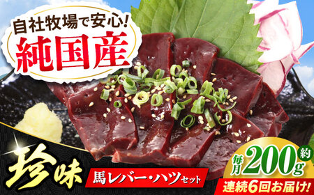 【全6回定期便】『純国産』熊本の味 馬 珍味 セット 計約200g レバー ハツ 刺身 レバー[AYCN105]