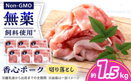 『香心ポーク』切り落とし 約250g×6パック 豚肉切り落とし[AYCK014]