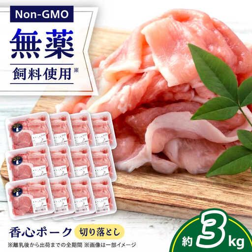『香心ポーク』切り落とし 約250g×12パック 豚肉切り落とし[AYCK019]