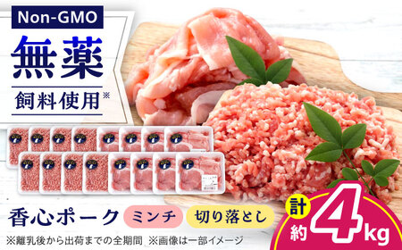 『香心ポーク』切り落とし ミンチ セット 各約250g×8パック（計約4kg）豚肉切り落とし[AYCK027]