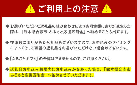 【あとから選べる！】合志市 ふるさとギフト 4万円分　【合志市役所】[AYBZ008]