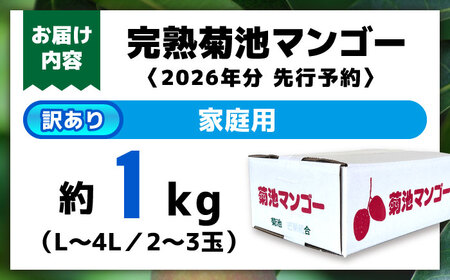 【2026年発送】友枝マンゴー農園の完熟訳ありマンゴー約1kg AYDF001