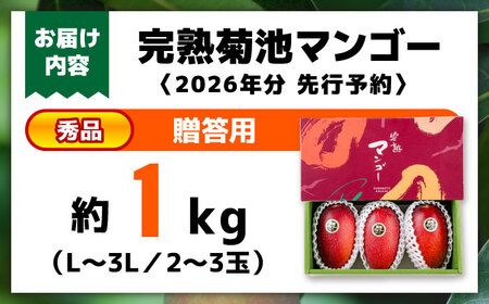 【2026年発送分 先行予約】秀品 菊池マンゴー 約1kg（2～3玉）L～3Lサイズ マンゴー[AYDF003]