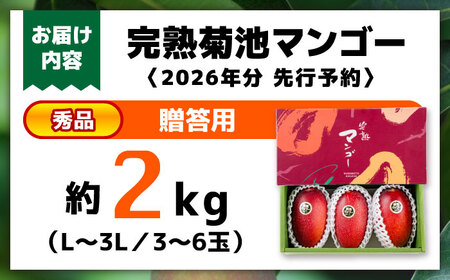 【2026年発送分 先行予約】秀品 菊池マンゴー約2kg（3～6玉） L～3Lサイズ アーウィンマンゴー [AYDF004]