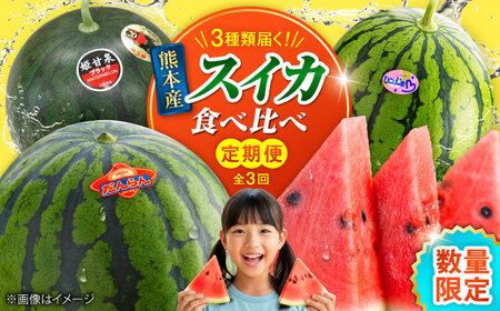 【2026年発送分先行予約】【数量限定】【全3回定期便】 すいか 3種 食べ比べ セット 定期便 計5玉（小玉2 大玉1 黒小玉2） スイカ[AYAB030]