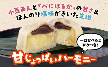 いきなり団子 約100g×10個入 / 和菓子 芋 あんこ スイーツ 郷土菓子 冷凍【粋也庵】[AYCE013]